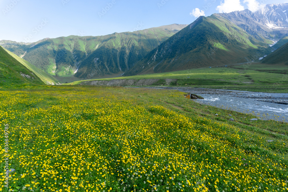 A clearing with yellow flowers in the Terek River valley. Mountains and hills around