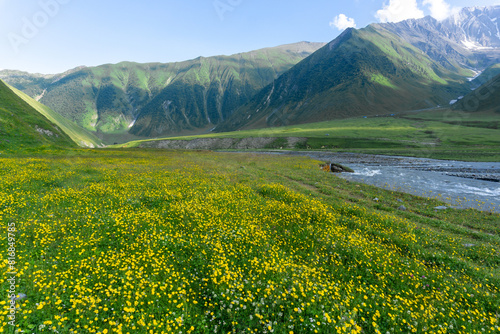 A clearing with yellow flowers in the Terek River valley. Mountains and hills around