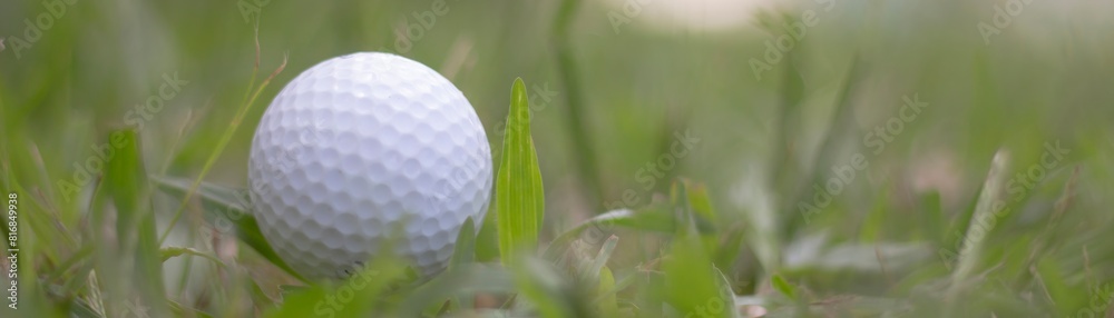 A close up of a golf ball sitting on the grass of a golf course fairway A close up of a golf ball sitting on the grass of a golf course fairway