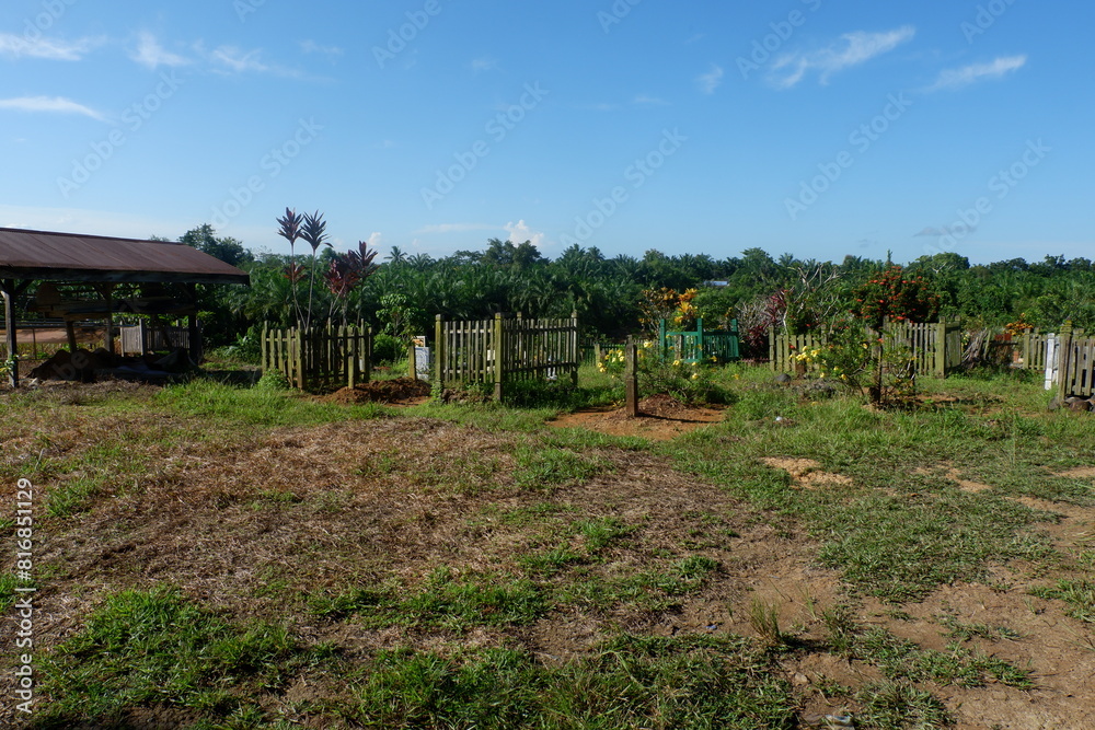 photography of grave site with green grass photography of grave site with green grass