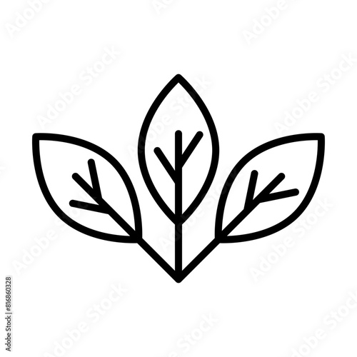 Mint leaves line icon