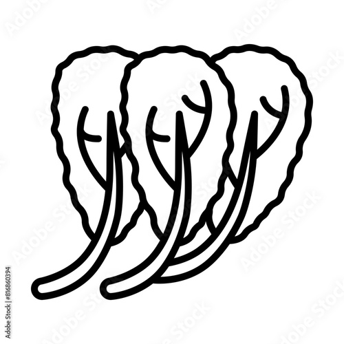 Chinese cabbage line icon