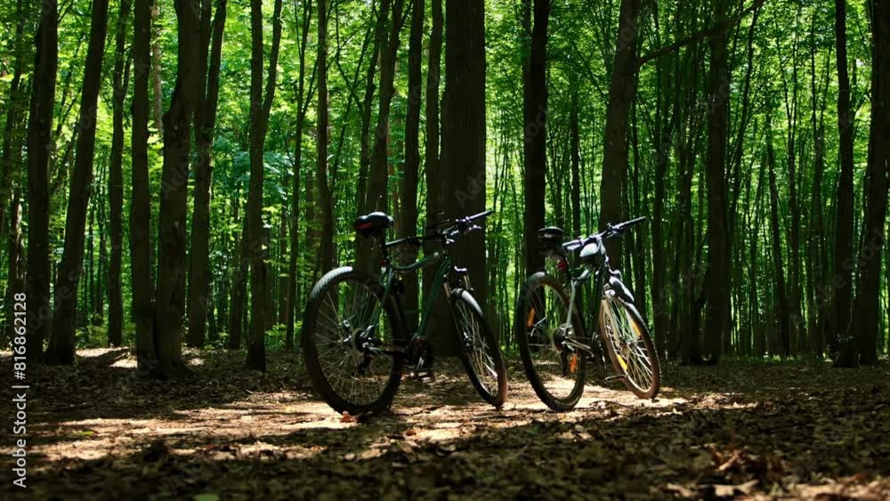 2 hardtail mountain bikes are in a dense forest during break rest, nobody. Peace and tranquility. Sports recreation. Bicycle off-road trail riding. Pastime quietude outdoor air, natural world 2 hardtail mountain bikes are in a dense forest during break rest, nobody. Peace and tranquility. Sports recreation. Bicycle off-road trail riding. Pastime quietude outdoor air, natural world