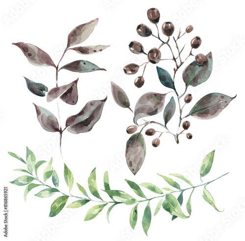 Clipart autumn leaves, eucalyptus, greenery. Forest herbs for the design of invitations, posters, prints.