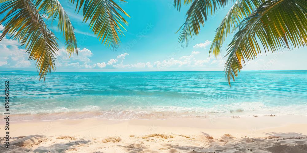 Fototapeta premium Beach with palm trees and ocean