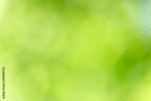 木漏れ日の背景素材