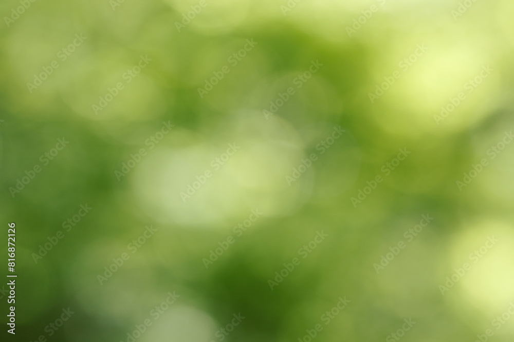 木漏れ日の背景素材 木漏れ日の背景素材
