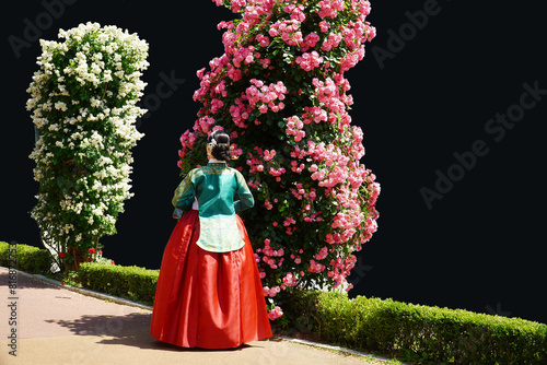 a woman in a rose pole and a hanbok © 정의 박