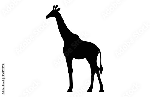 A Giraffe Silhouette Vector art black clipart