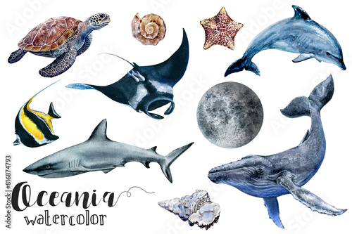 Vivid watercolor paintings of oceanic organisms in azure and electric blue