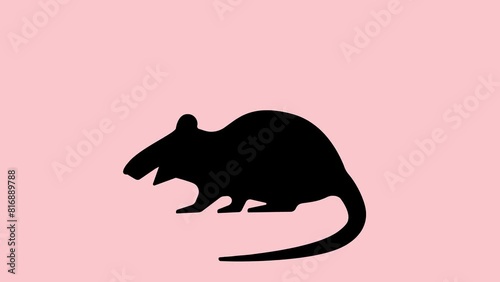 Attention rodents.