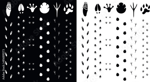Paw print silhouette. Isolated paw print on white background