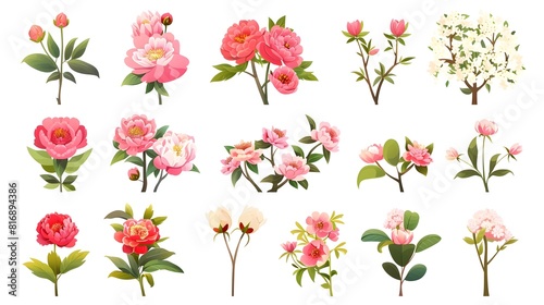 Wallpaper Mural Vibrant Assortment of Floral Blooms in Pink Red and White Shades Showcasing Nature s Beauty Torontodigital.ca
