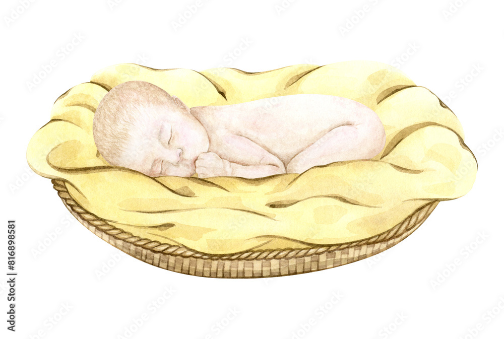 Cute little baby sleeps in a cradle basket; watercolor hand drawn illustration; Can be used for baby shower, birthday; with white isolated background.
