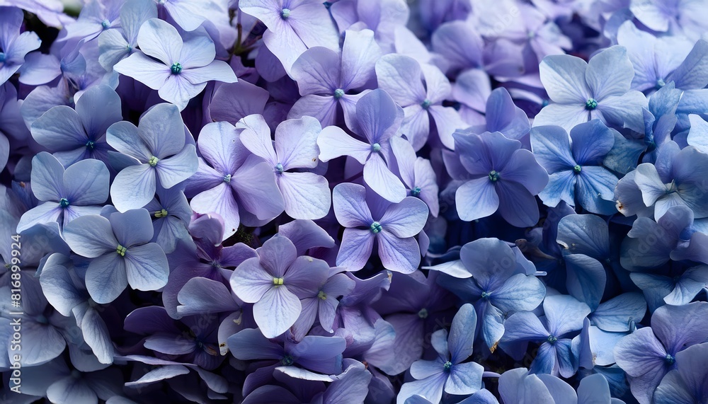 Background image with small violet flowers Background image with small violet flowers