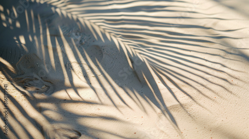 Shadows of palm leaves cast on smooth  sunlit sand  creating a tropical and serene beach atmosphere.