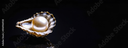 Banner with white pearl in oyster shell on mirrored black surface with space for text, sparkling drops of water