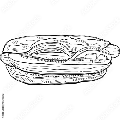 Drawing food illustration. Hand-drawn food sketches for packaging, menu, recipe,advertising,branding, Food Blog 