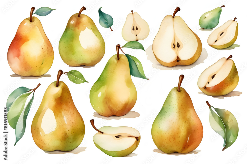 Set of fresh and ripe pear fruits, watercolor illustration isolated on a white background