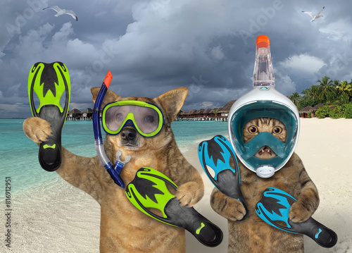 Cat and dog in diving masks by sea