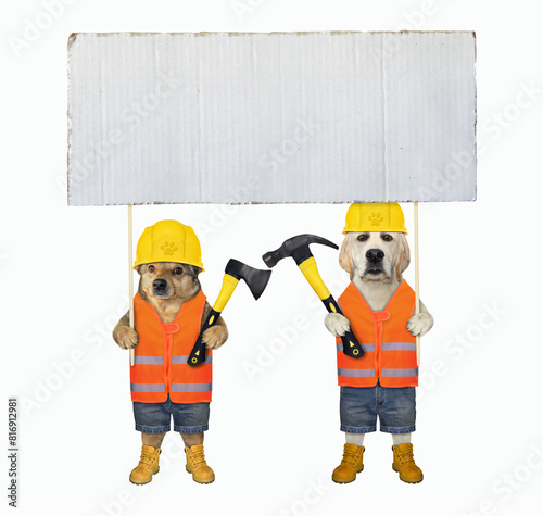 Two dogs workers holding blank placard