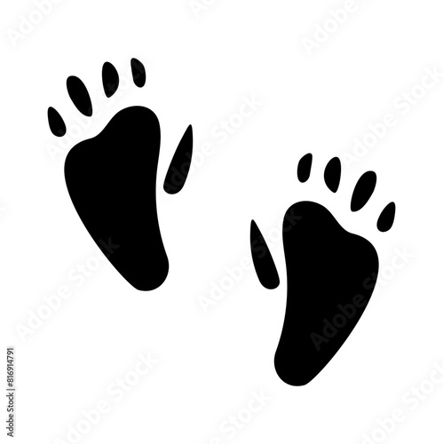 Animals Flat Footprint Hand drawn Vector 