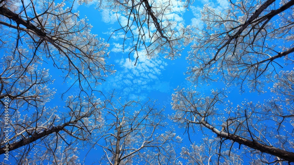 Blue Sky with Background Trees in Full Blue Color Blue Sky with Background Trees in Full Blue Color