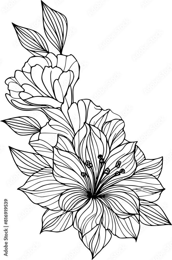 Hand drawn flower illustration