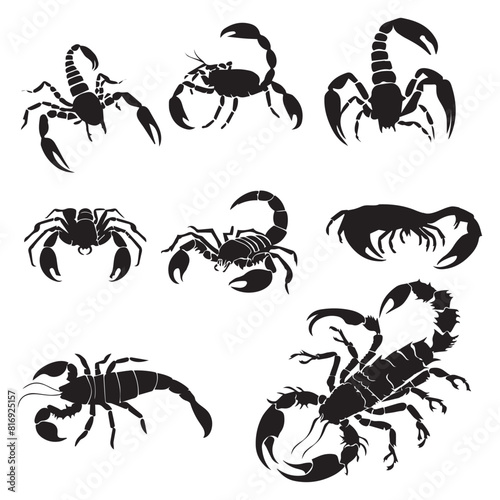 Vector scorpion silhouette on white background


