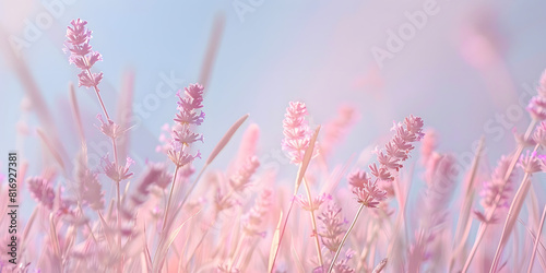 Subtle gradient from blush pink to soft lavender, offering a gentle and romantic vibe, perfect for beauty products or wedding accessories © Abstract Delusion