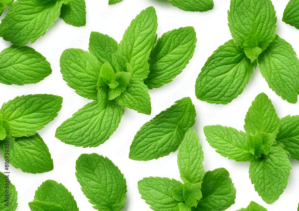 Fresh and Vibrant_ Top View of Refreshing Mint Leaves Isolated on White Background, Complete with Clipping Path.