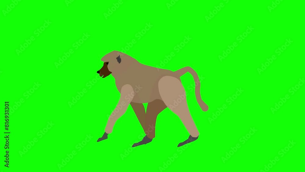 Baboon running animation green screen Baboon running animation green screen