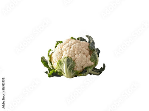 varieties of vegetables transparent background