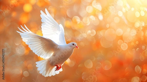 A white dove flaps its wings in the air, radiating warm light and symbolizing peace and freedom.  © horizon