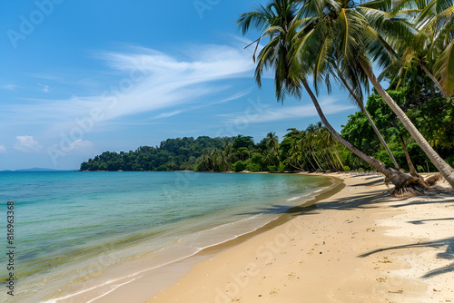 Sunny Beach in Thailand. Palm trees  sand  sea. Landscape view from the shore.