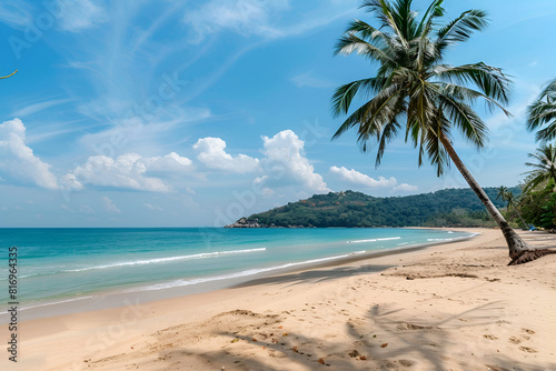 Sunny Beach in Thailand. Palm trees  sea  sand. Landscape view from the shore.