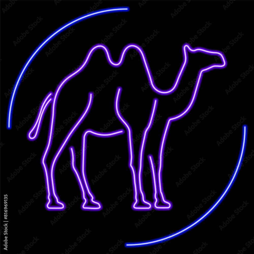 camel neon sign, modern glowing banner design, colorful modern design trend on black background. Vector illustration. camel neon sign, modern glowing banner design, colorful modern design trend on black background. Vector illustration.