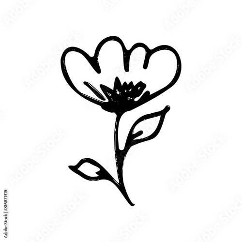 flower, flower outline, plant, black and white illustration