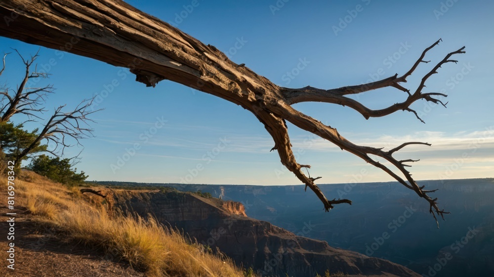 A dead tree stands at the edge of a cliff with its roots exposed under a dramatic sky A dead tree stands at the edge of a cliff with its roots exposed under a dramatic sky