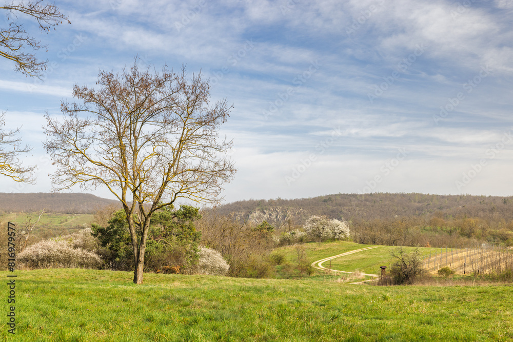 Landscape of Podyji National Park near Znojmo town in the South Moravian Region of the Czech Republic, Europe. Landscape of Podyji National Park near Znojmo town in the South Moravian Region of the Czech Republic, Europe.