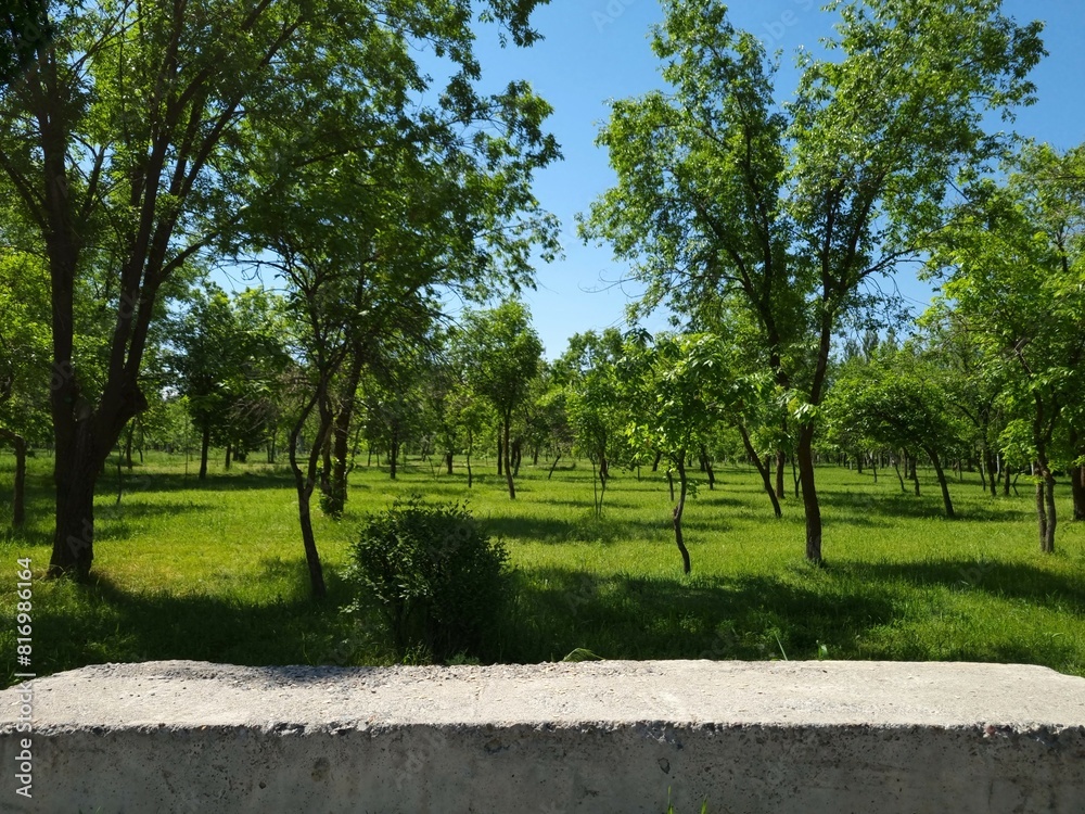 Concrete block against the background of trees Concrete block against the background of trees