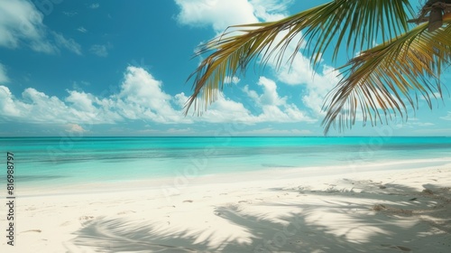 a tropical beach with clear turquoise water  white sand  