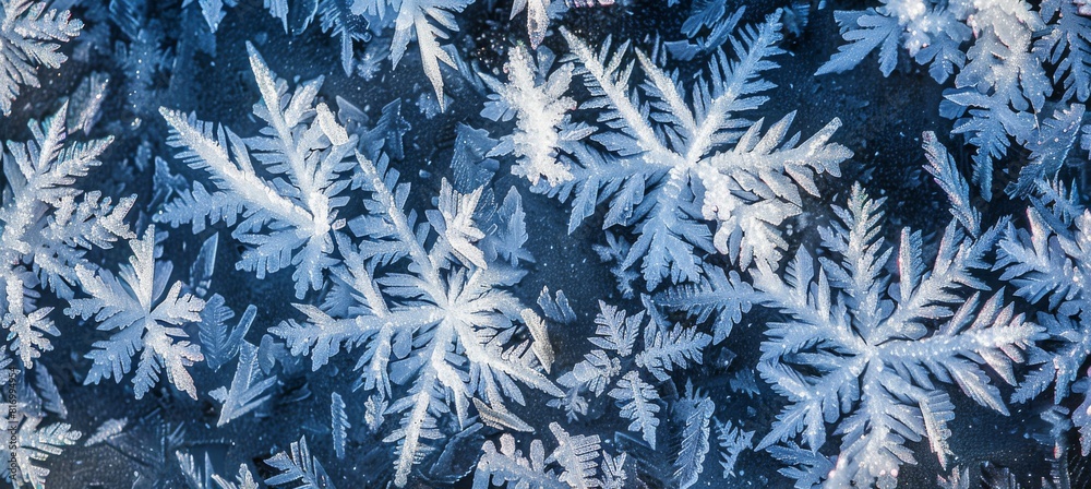 Delicate ice crystals and frost, macro detail Delicate ice crystals and frost, macro detail
