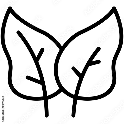 spinach line icon