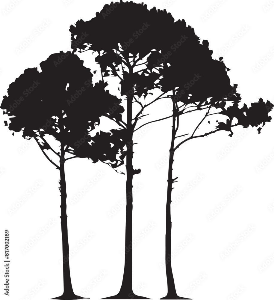 Fototapeta premium silhouette of tree