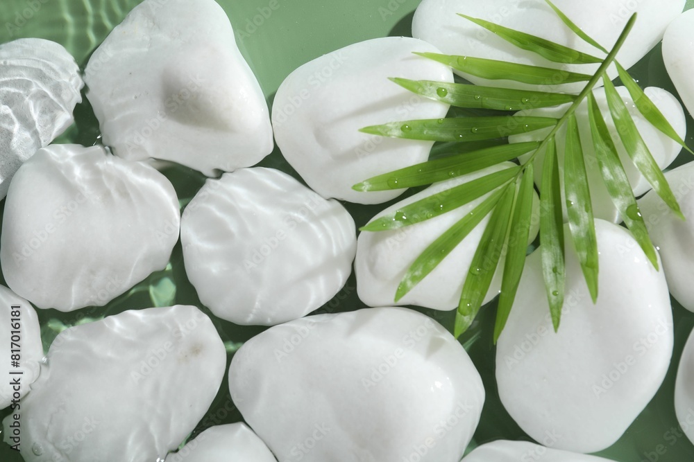 Spa stones and palm leaf in water on light green background, flat lay Spa stones and palm leaf in water on light green background, flat lay