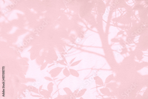 Leaf shadow and light on wall pink pastel background. Nature tropical leaves shadows tree branch and plant shade with sunlight sunshine on wall for wallpaper  shadow overlay effect foliage mockup