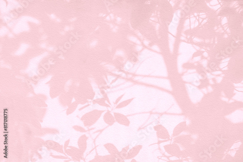 Leaf shadow and light on wall pink pastel background. Nature tropical leaves shadows tree branch and plant shade with sunlight sunshine on wall for wallpaper, shadow overlay effect foliage mockup