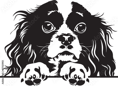 peeking cavalier king charles spaniel dog