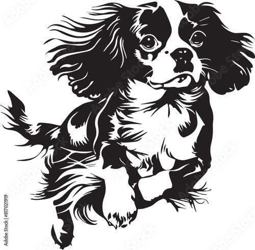 running cavalier king charles spaniel dog